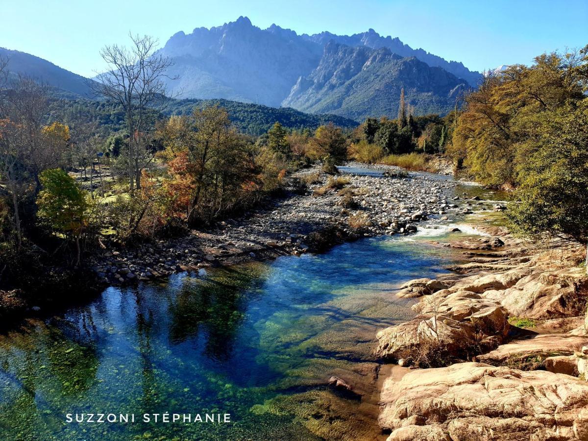 Domaine U Filanciu - Maison Chiara Avec Piscine - Centre Corse Moltifao Exterior foto