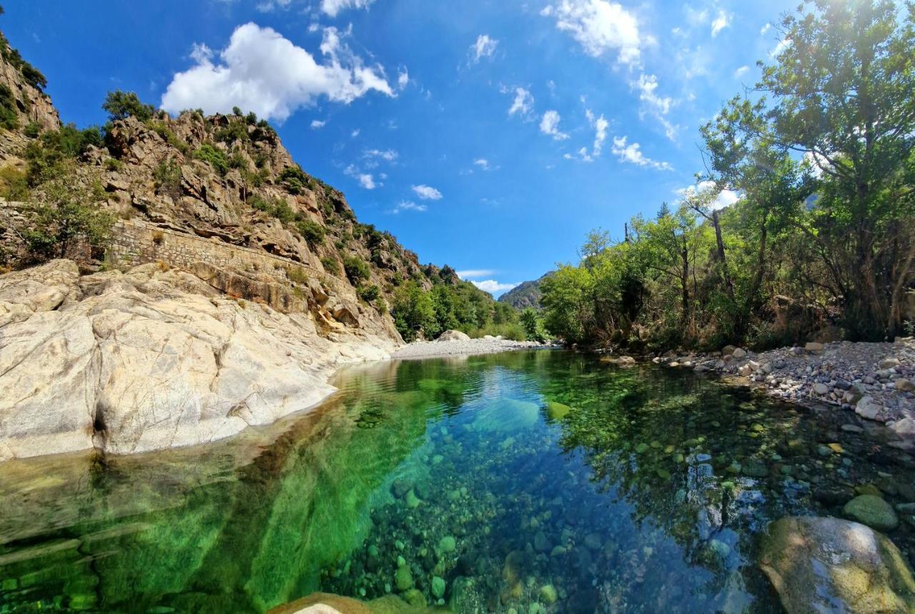 Domaine U Filanciu - Maison Chiara Avec Piscine - Centre Corse Moltifao Exterior foto